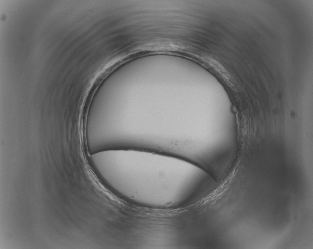 X0000067350840200604030932