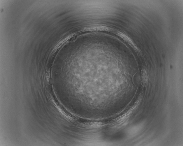 X0000067350841200604030932