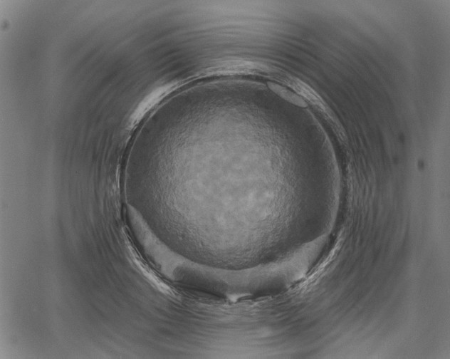 X0000067350842200604030932