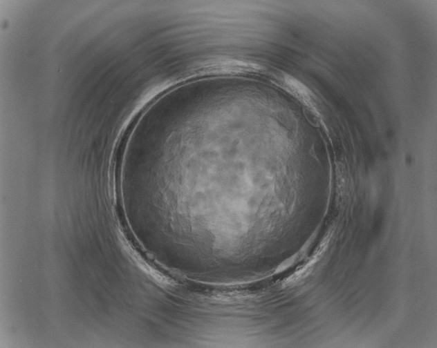 X0000067350843200604030932