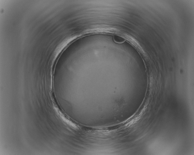 X0000067350844200604030932