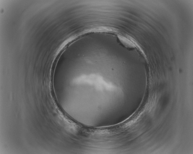 X0000067350845200604030932