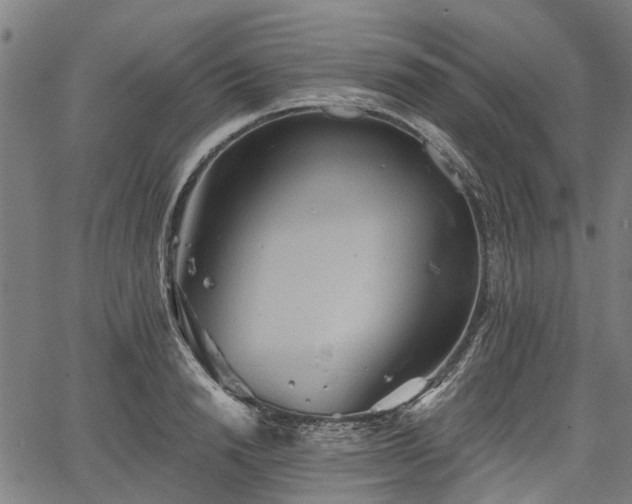 X0000067350846200604030932