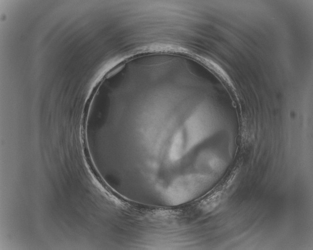 X0000067350847200604030932