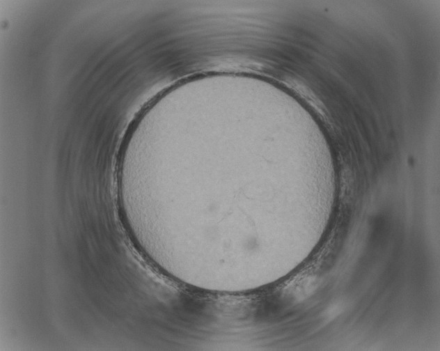 X0000067350848200604030932