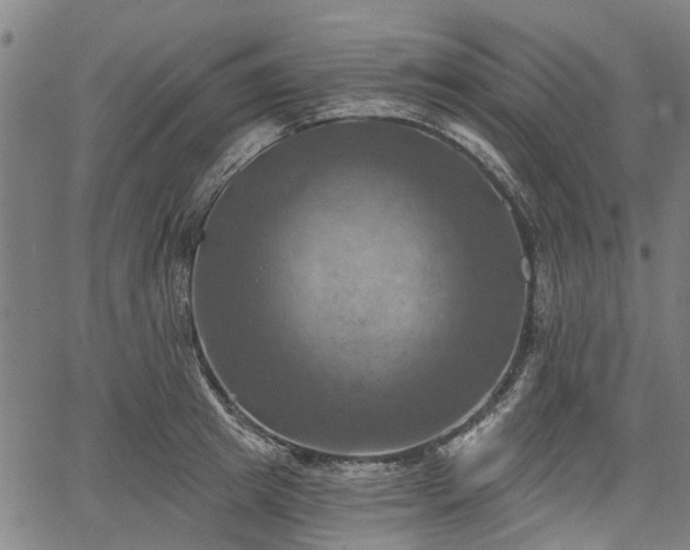 X0000067350849200604030932