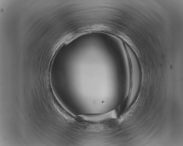 X0000067350850200604030932