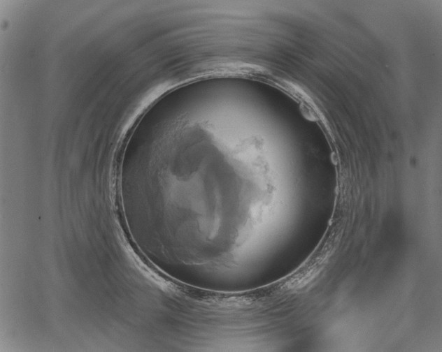 X0000067350851200604030932