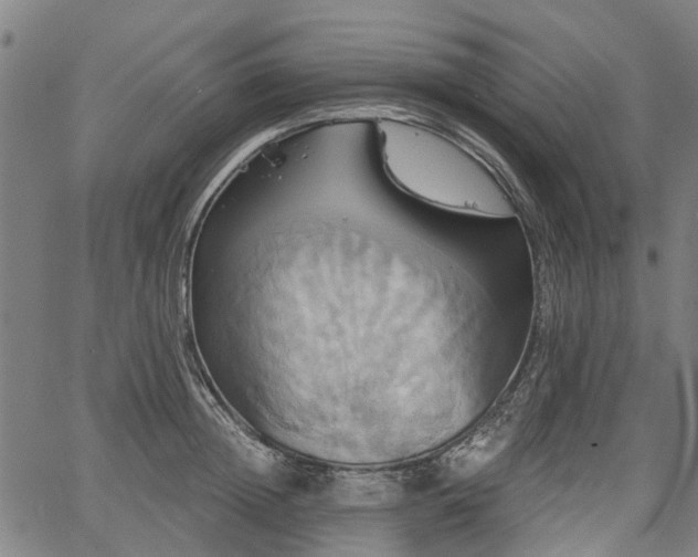 X0000067350852200604030932