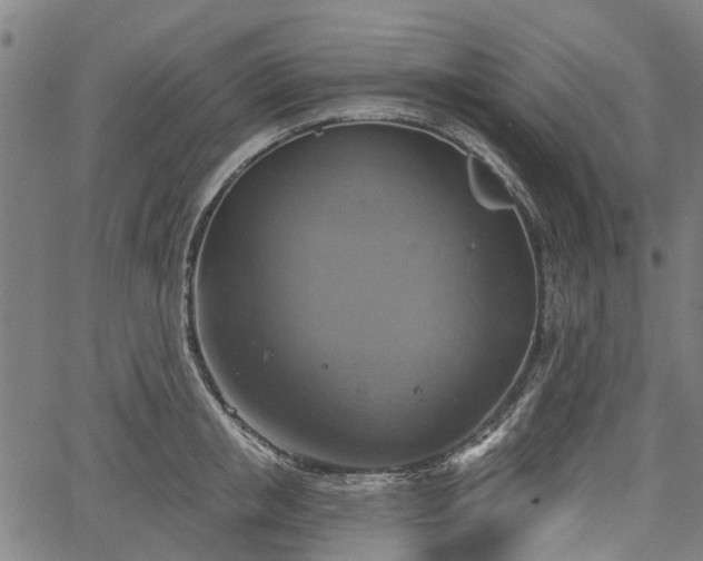 X0000067350853200604030932