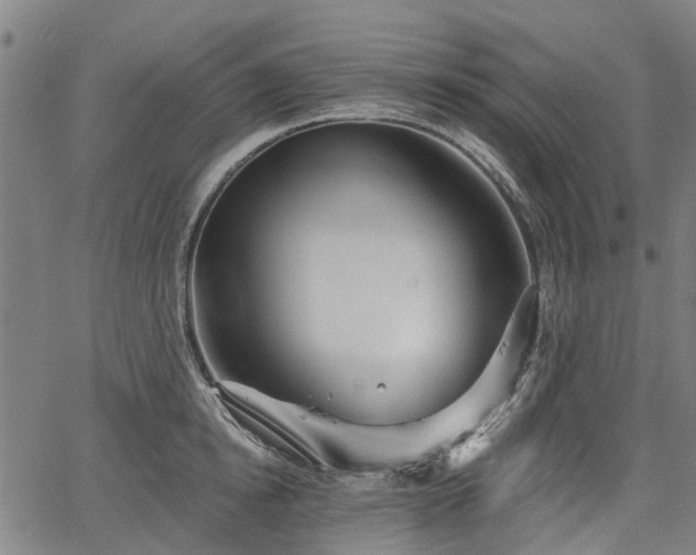 X0000067350854200604030932