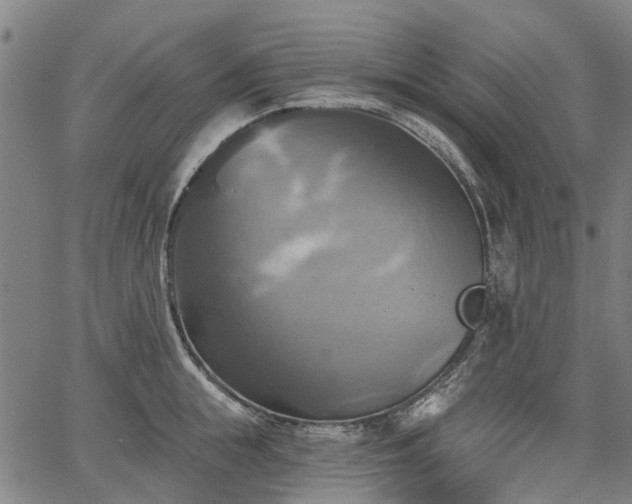 X0000067350855200604030932