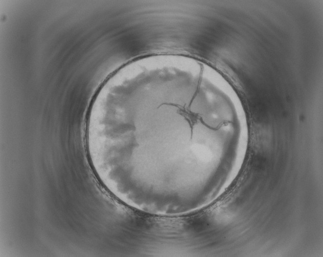 X0000067350856200604030932