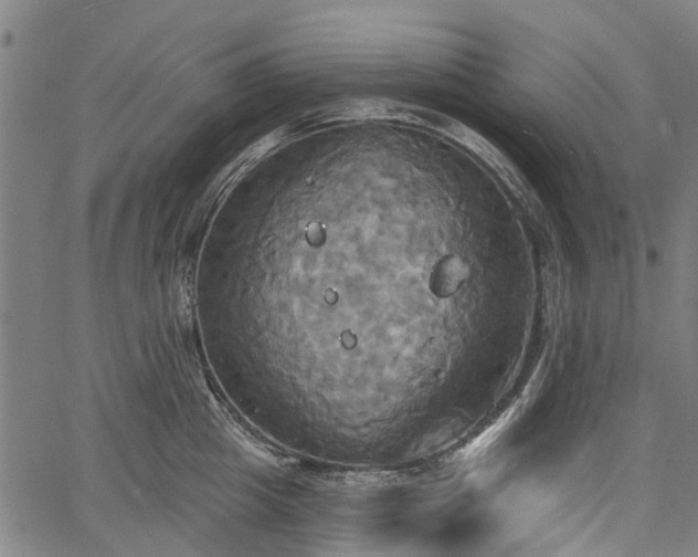 X0000067350857200604030932