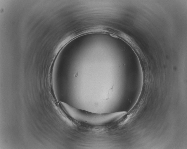 X0000067350858200604030932