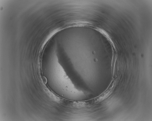 X0000067350859200604030932