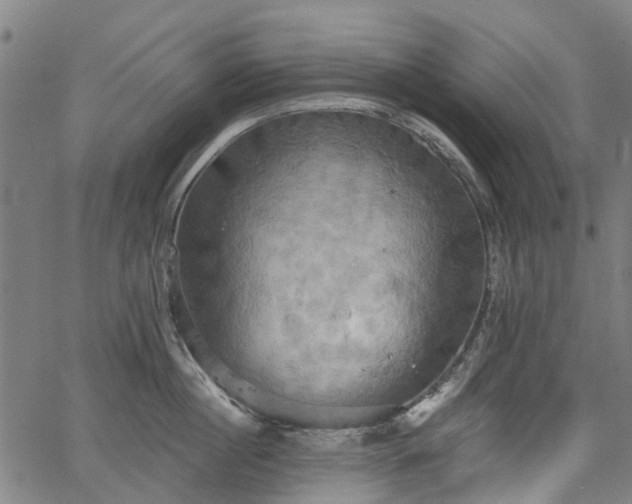 X0000067350860200604030932