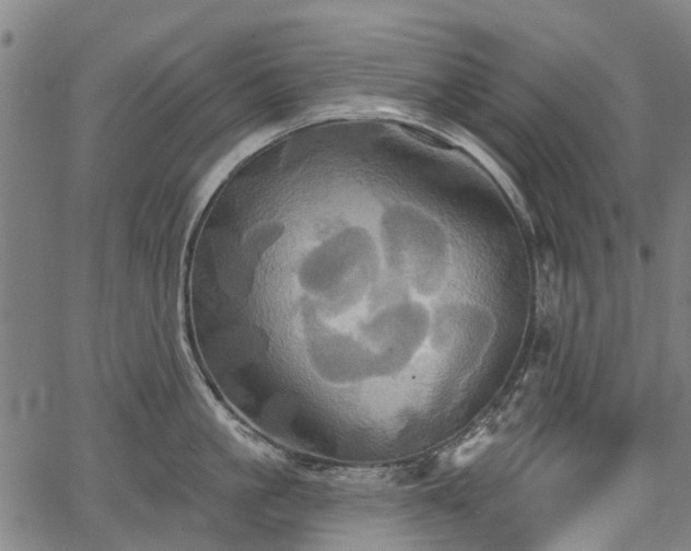 X0000067350861200604030932