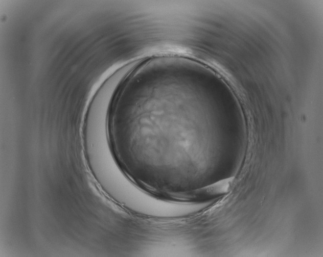 X0000067350864200604030932