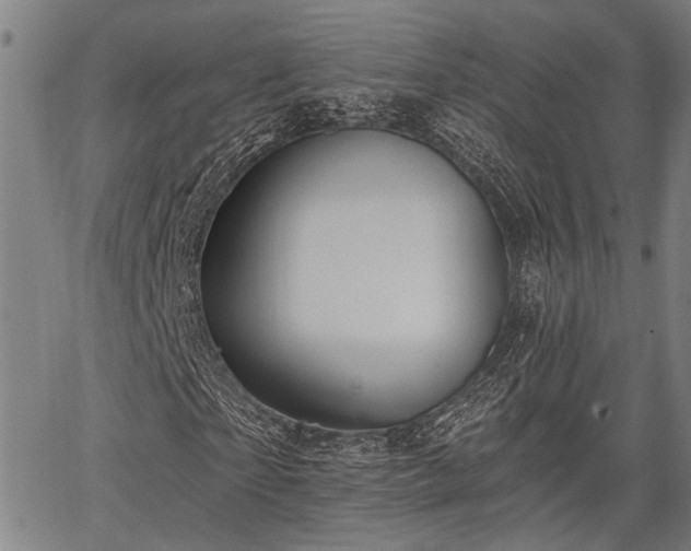 X0000067350865200604030931