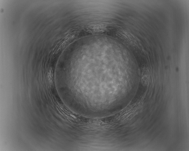 X0000067350866200604030931