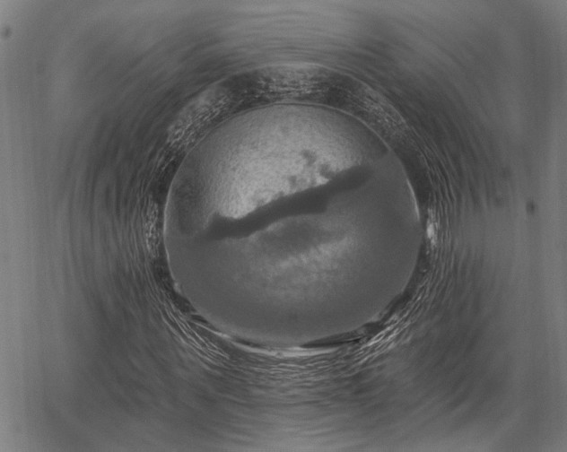 X0000067350867200604030931