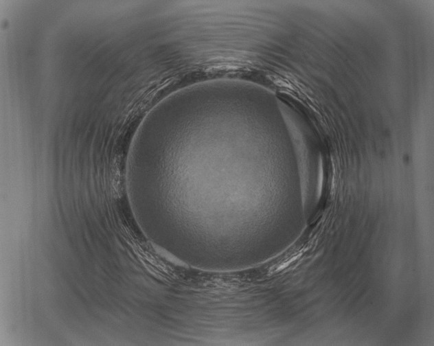 X0000067350868200604030931