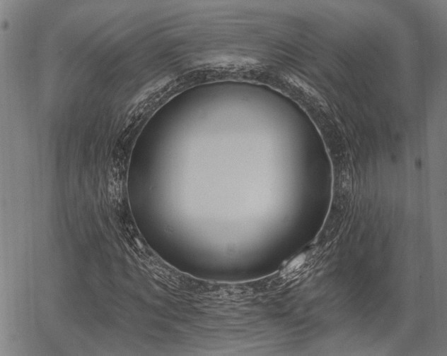 X0000067350869200604030931