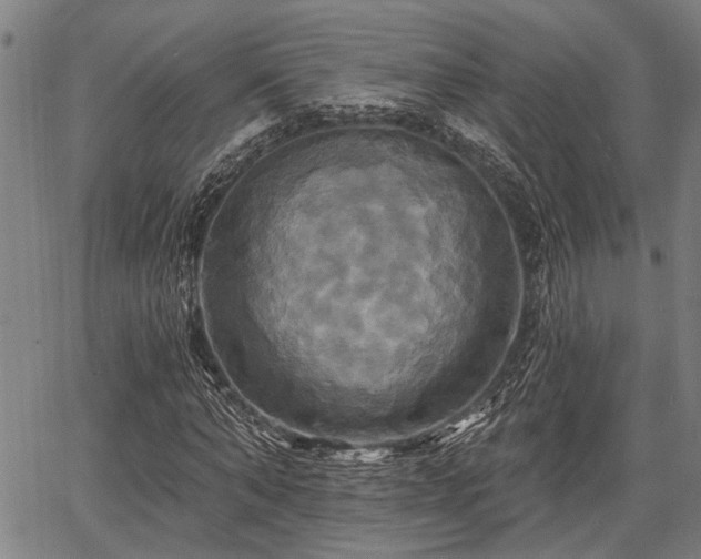 X0000067350870200604030931