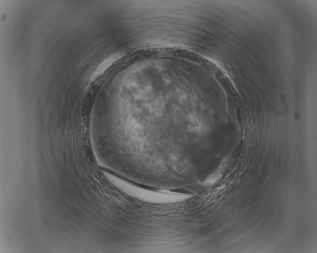 X0000067350871200604030931