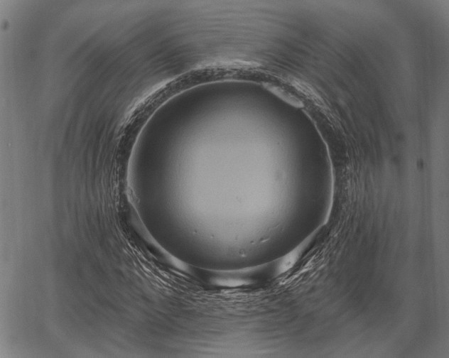 X0000067350872200604030931