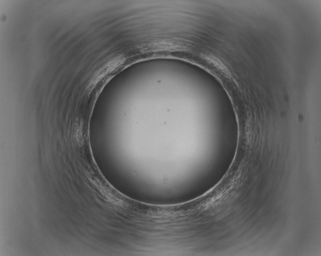 X0000067350873200604030931