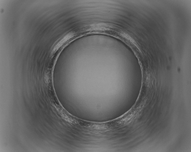 X0000067350874200604030931