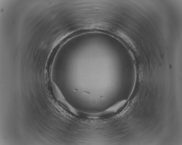 X0000067350876200604030931