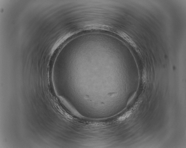 X0000067350877200604030931