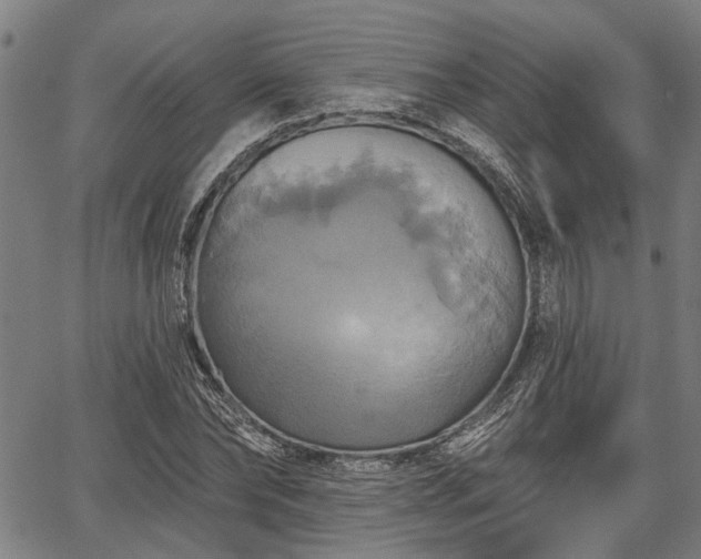 X0000067350878200604030931