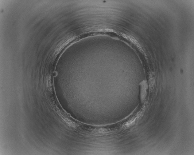 X0000067350881200604030931