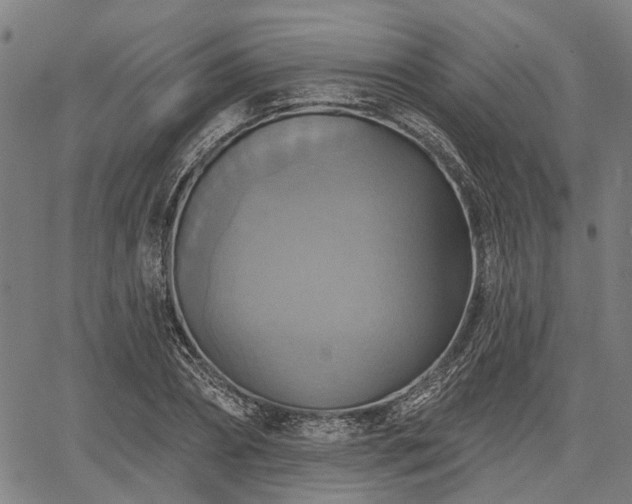 X0000067350882200604030931