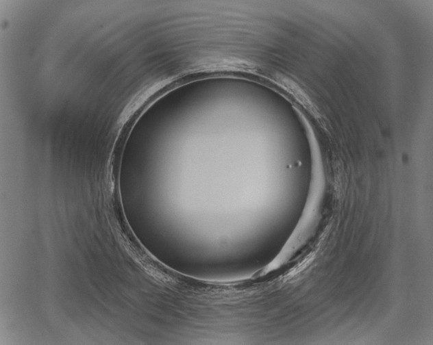 X0000067350885200604030931