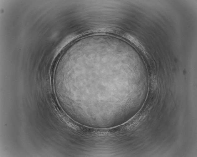 X0000067350886200604030931