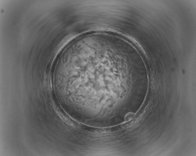 X0000067350887200604030931