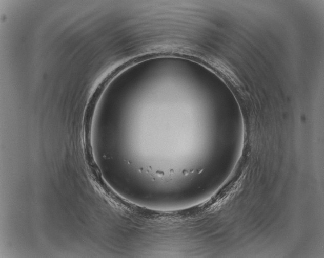 X0000067350888200604030931