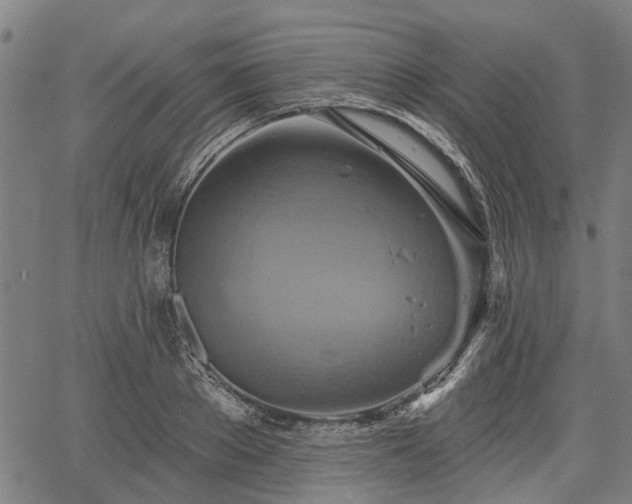 X0000067350889200604030931