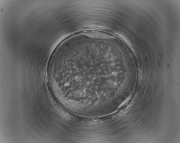 X0000067350891200604030931