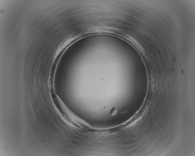 X0000067350893200604030931