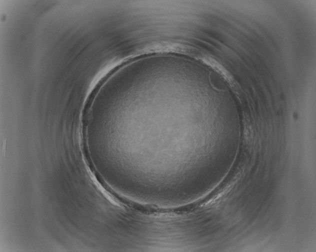 X0000067350894200604030931