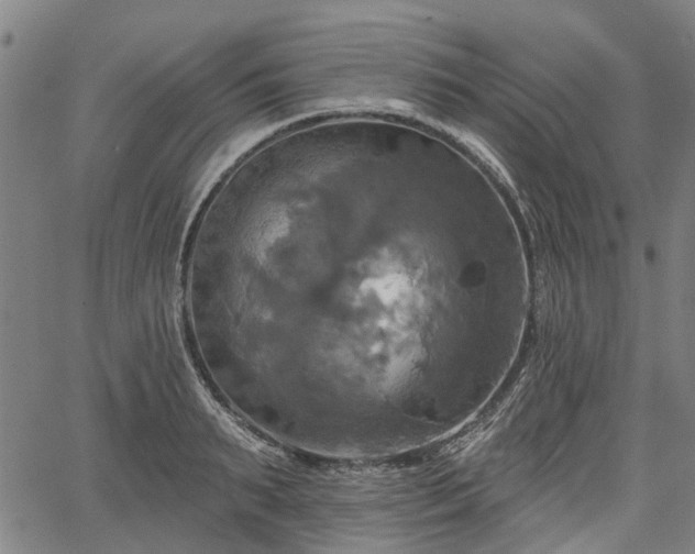 X0000067350895200604030931