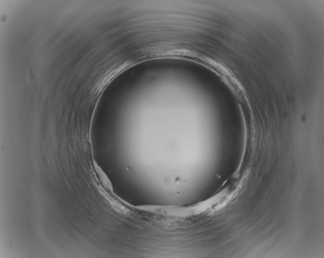 X0000067350897200604030931