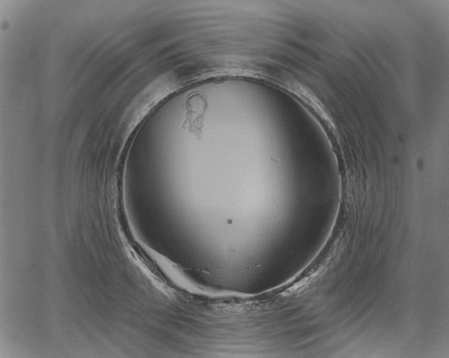 X0000067350898200604030931