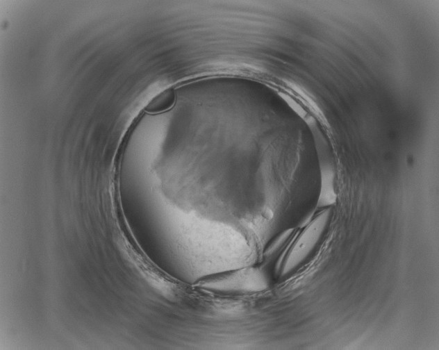 X0000067350899200604030931